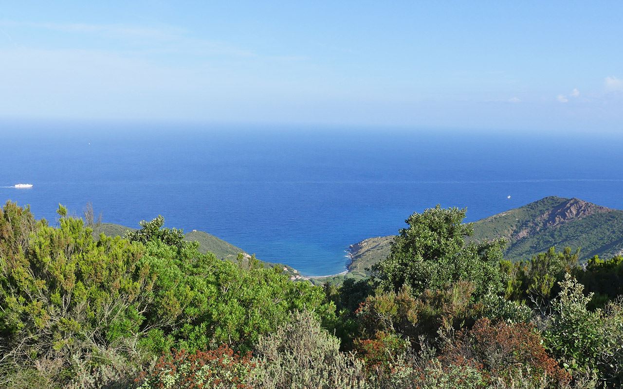 elba legend run