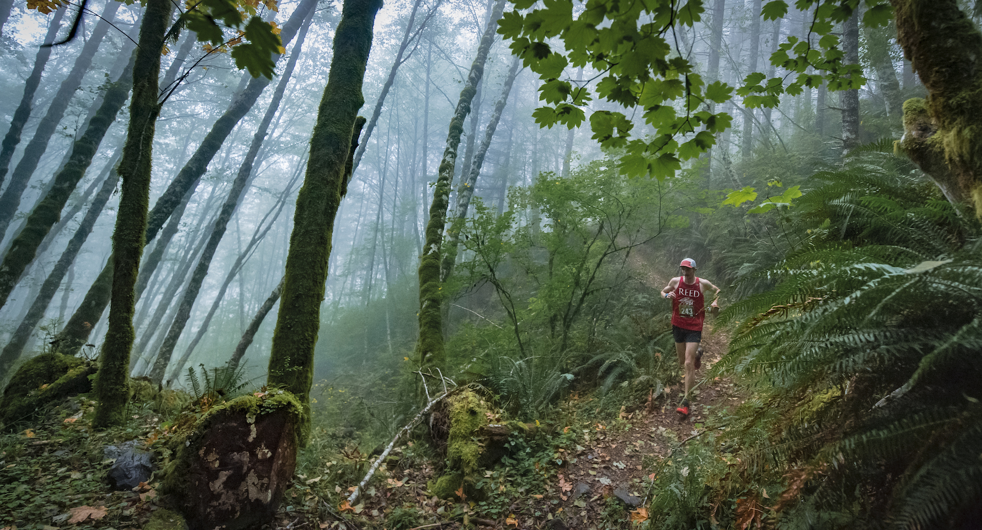 elk kings 50k