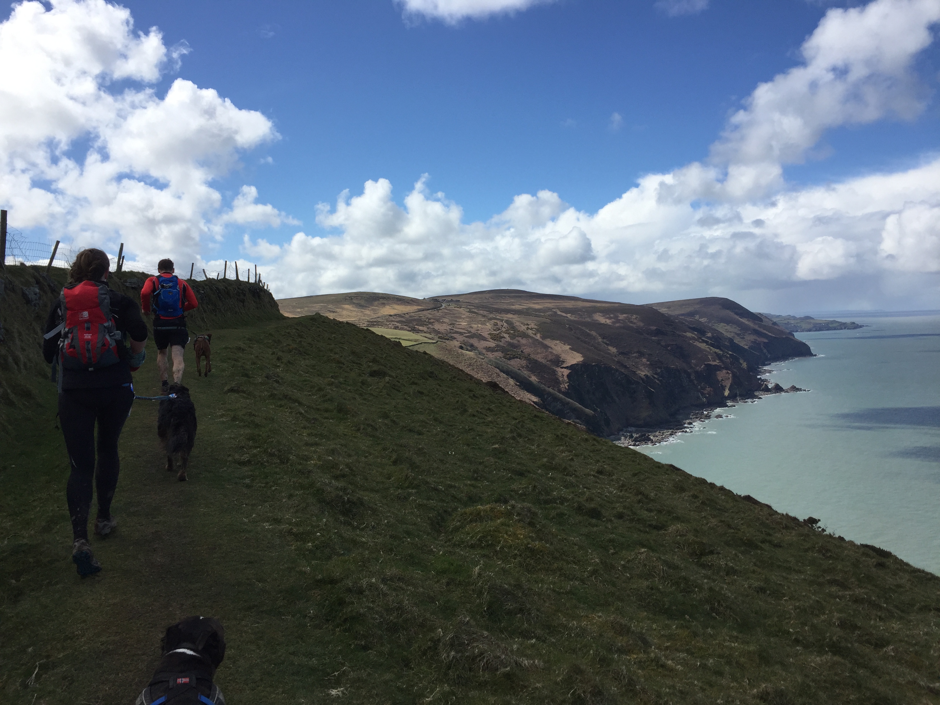 endurancelife exmoor marathon