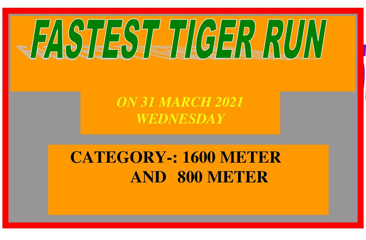 fastest tiger run