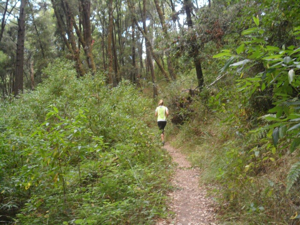 forest of nisene marks marathon