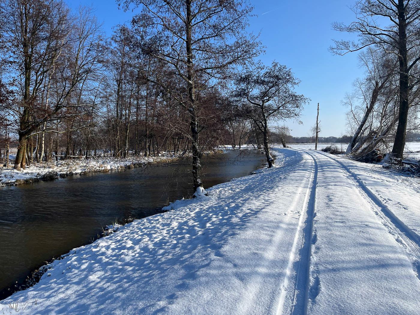 frostwiesenlauf