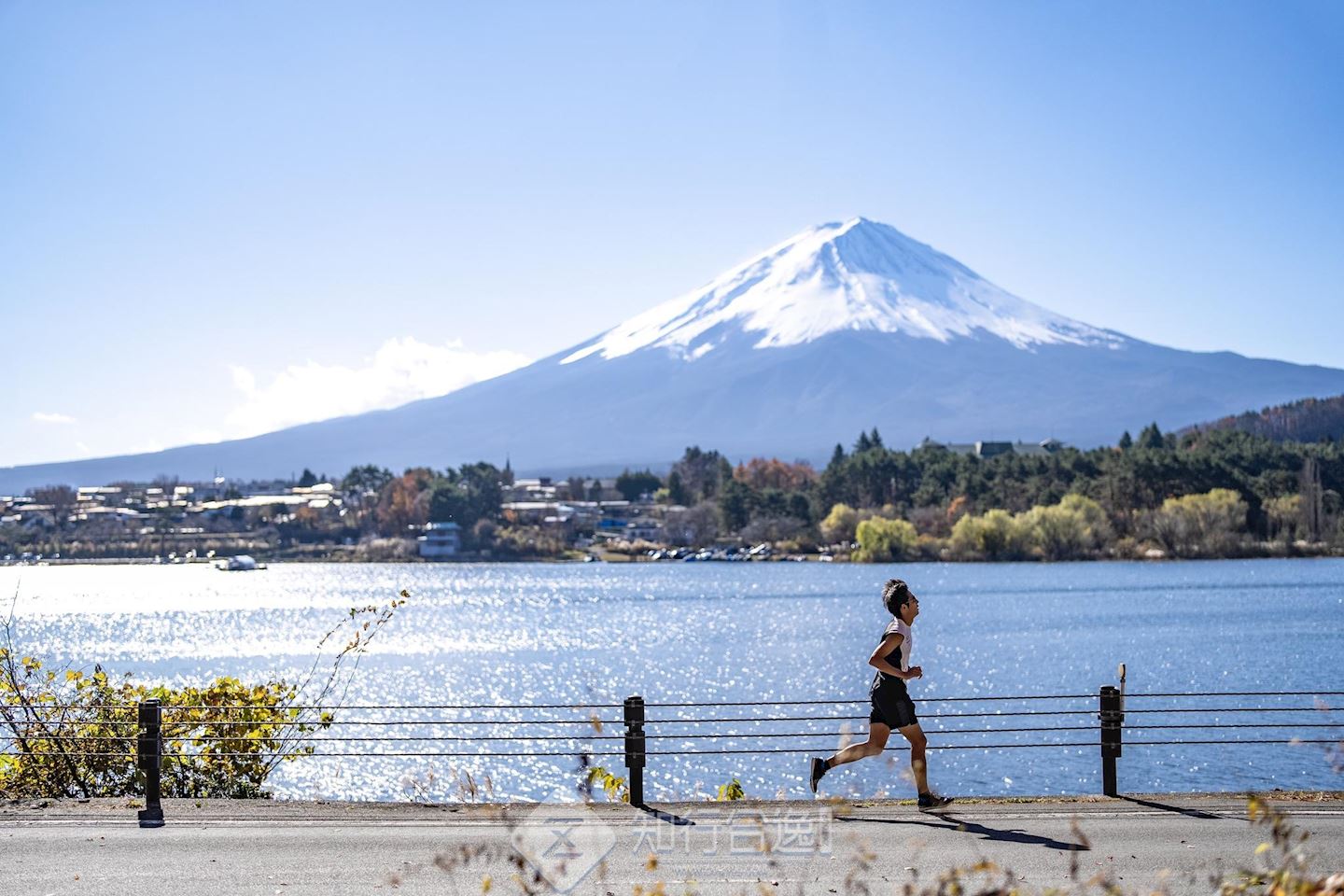 fujisan marathon