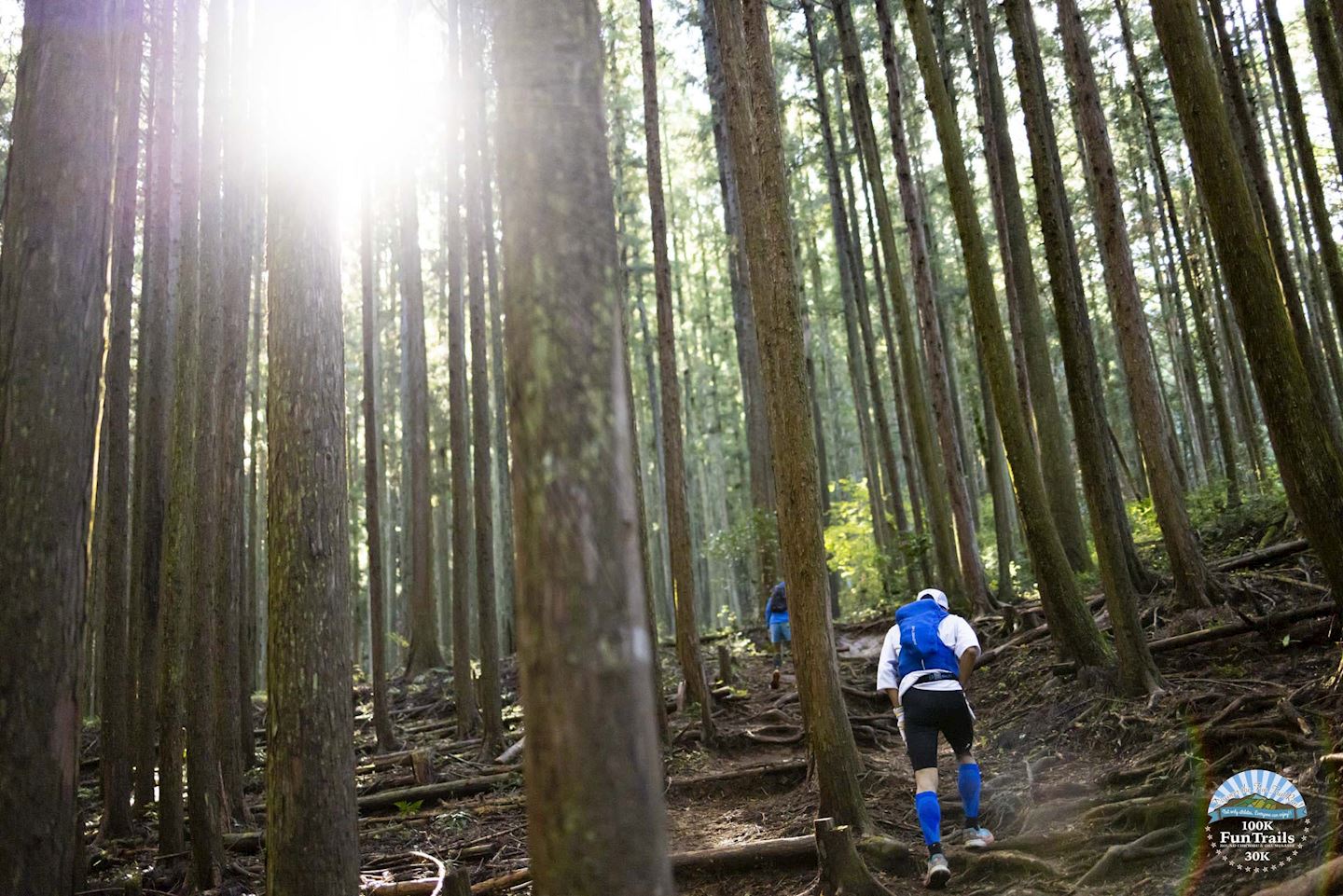 funtrails round chichibuokumusashi100 mile100k50k