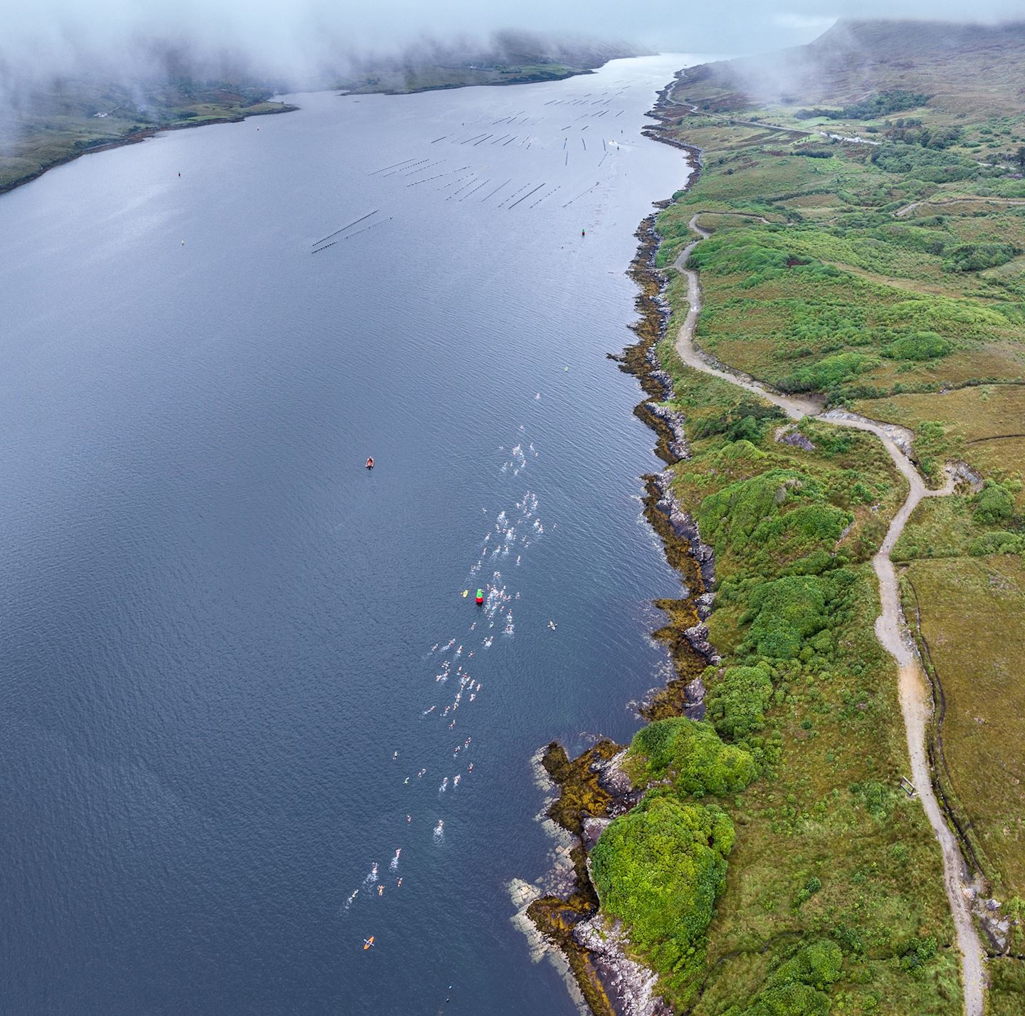 gaelforce great fjord swim