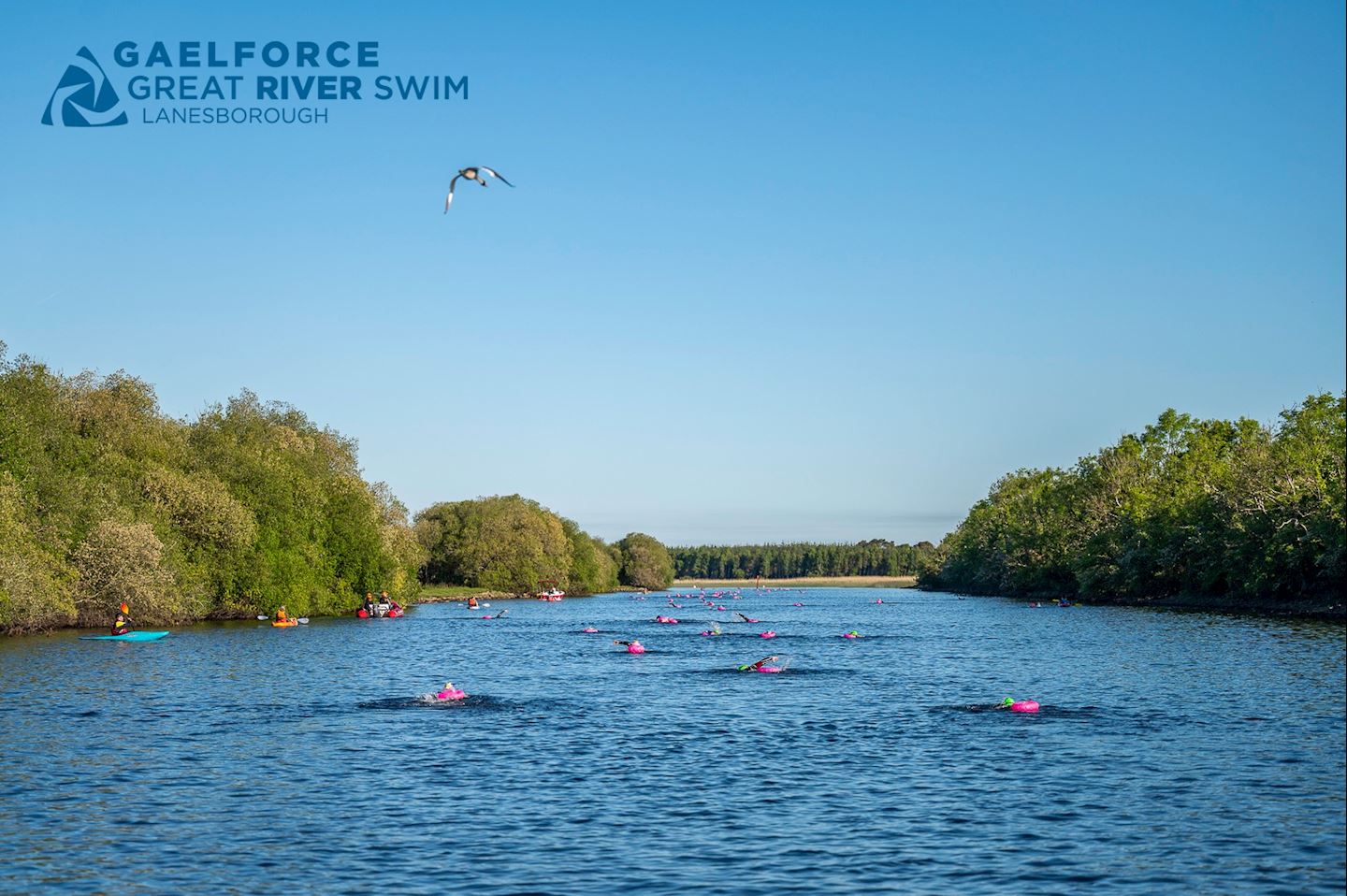 gaelforce great river swim