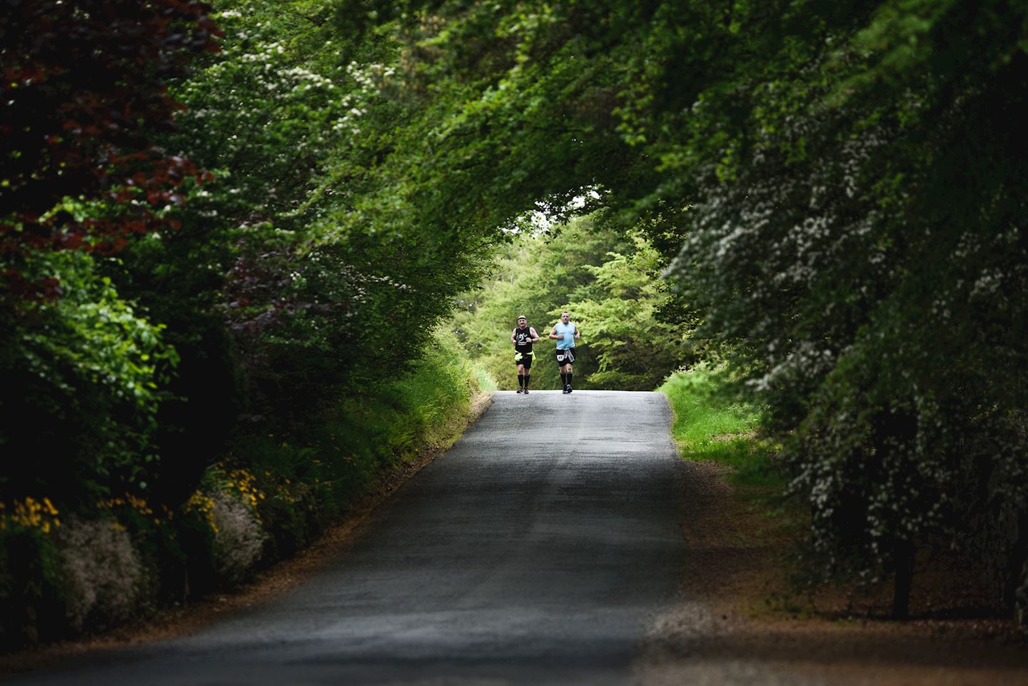 glendalough lap of the gap marathon