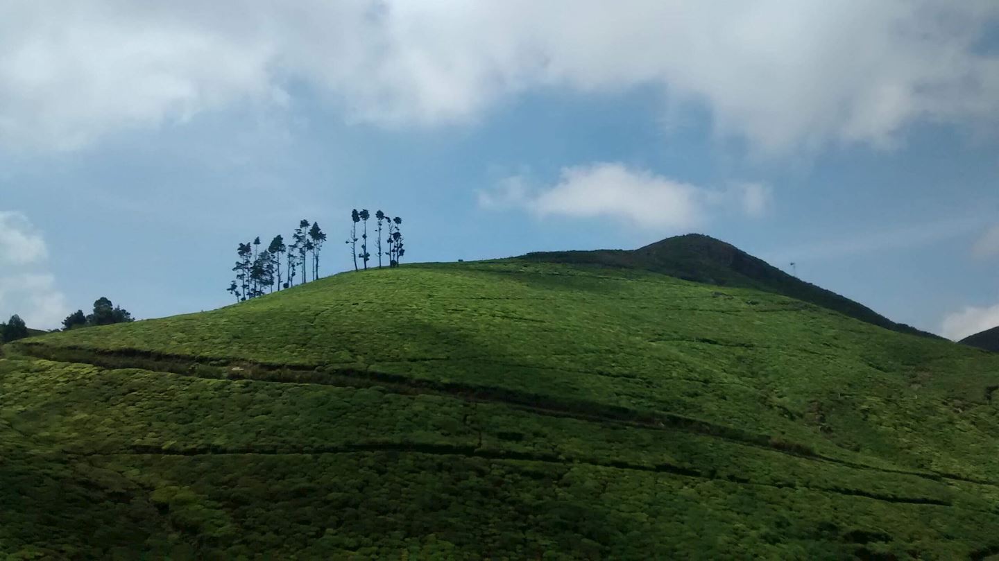 go heritage run ooty