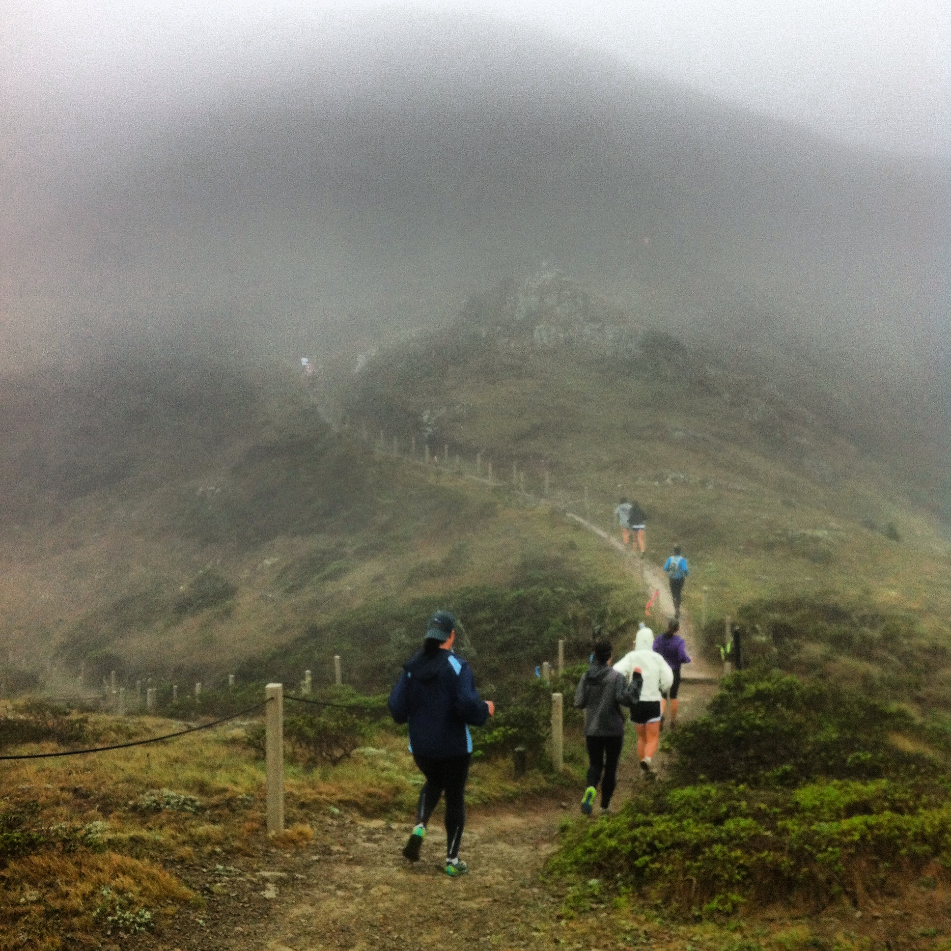 golden gate trail run