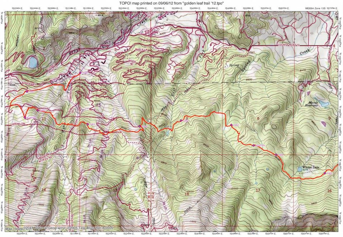 Golden Leaf Half Marathon Routenkarte