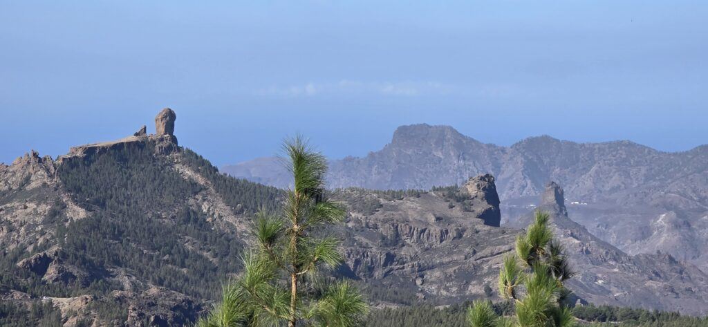 gran canaria backyard ultra