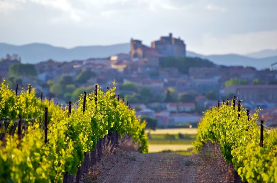gravelman anjou