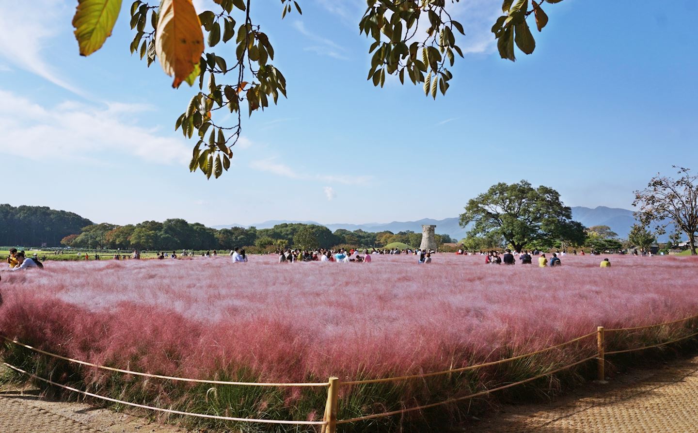 gyeongju marathon