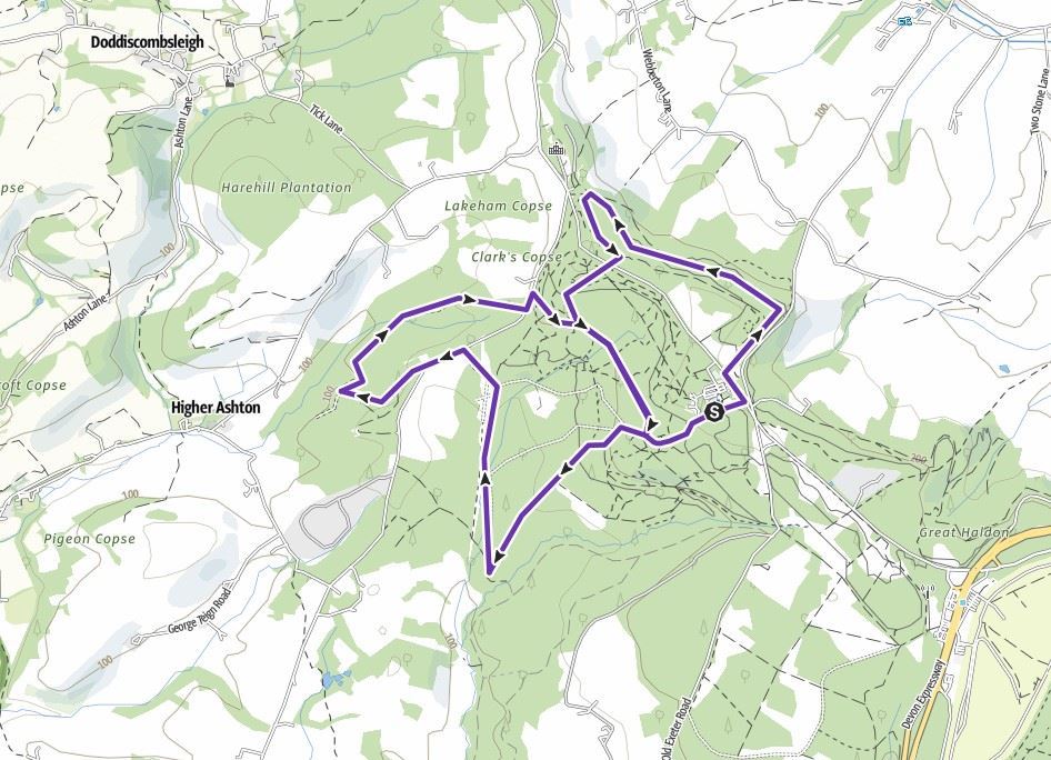 Haldon Night Route Map