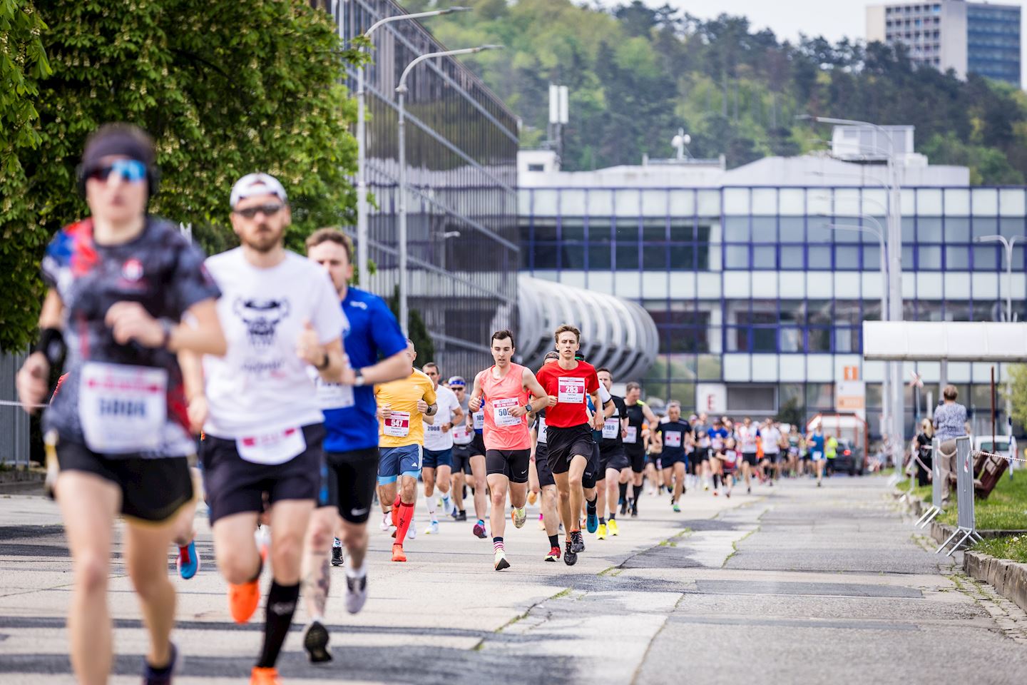 halfmarathon brno