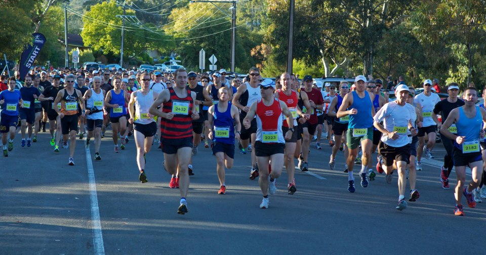 hardy s mclaren vale half marathon