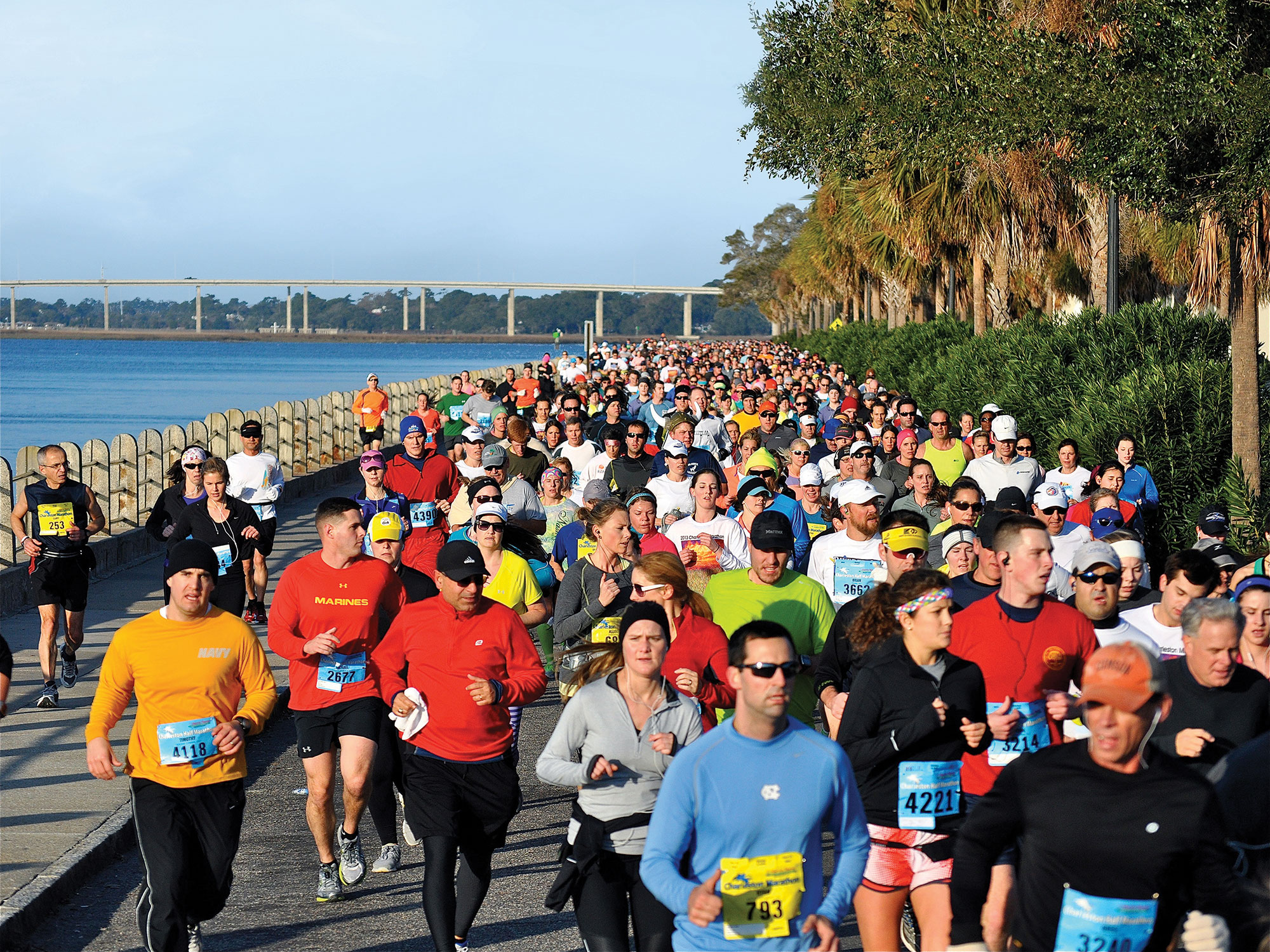 Charleston Marathon, 20 Jan 2024 World's Marathons