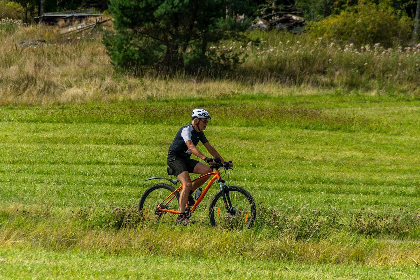 hav grav vikbovandan