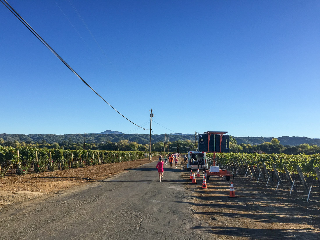 healdsburg half marathon