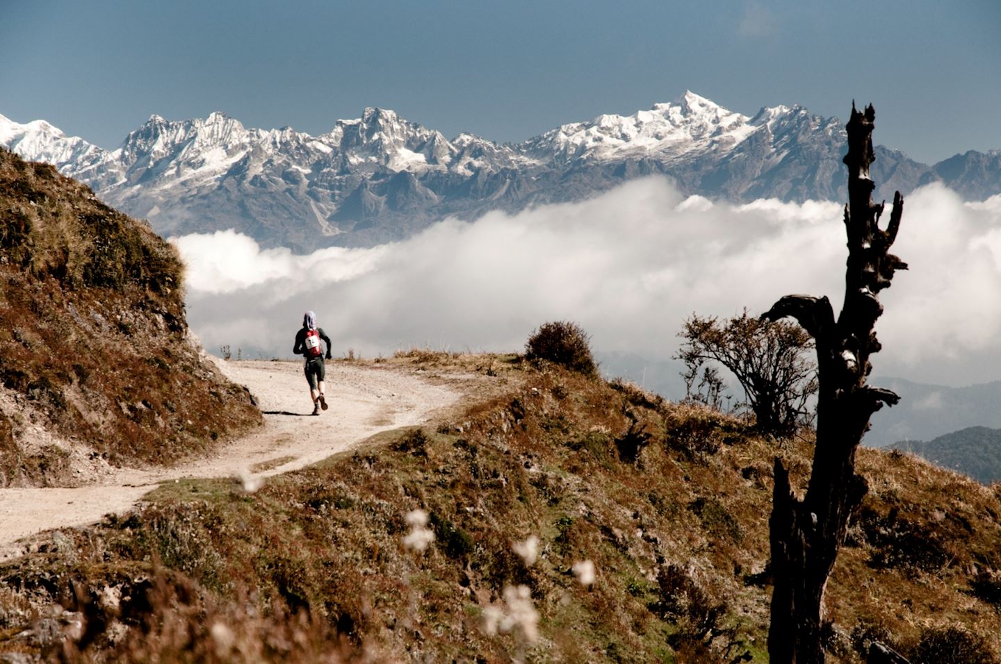 himalayan 100 mile stage race