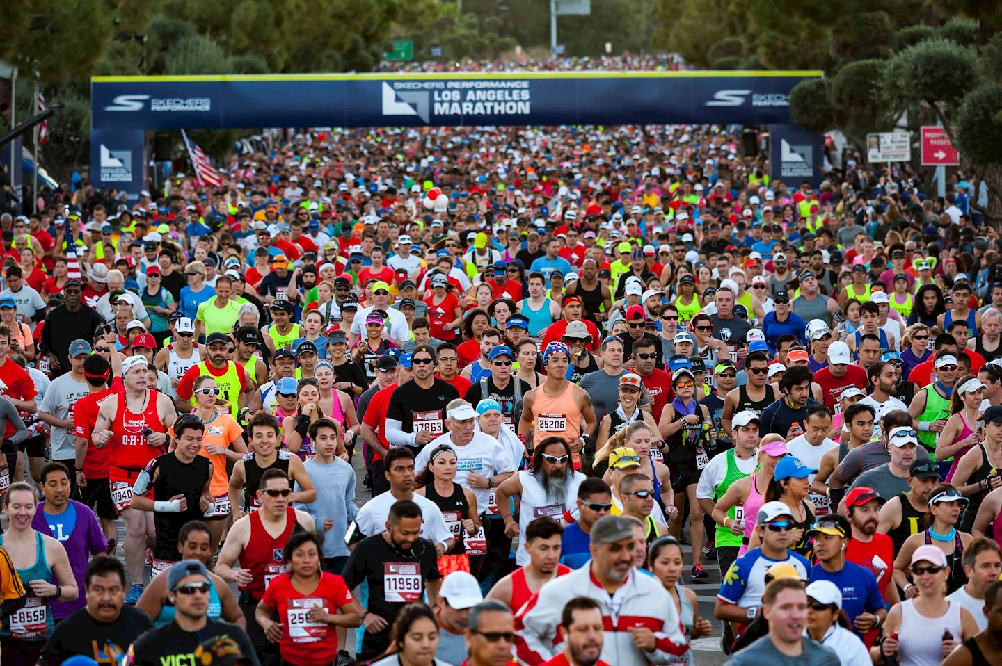 Los Angeles Marathon Results 2024 Live Pris Oriana