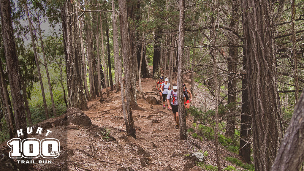 hurt 100 mile trail run