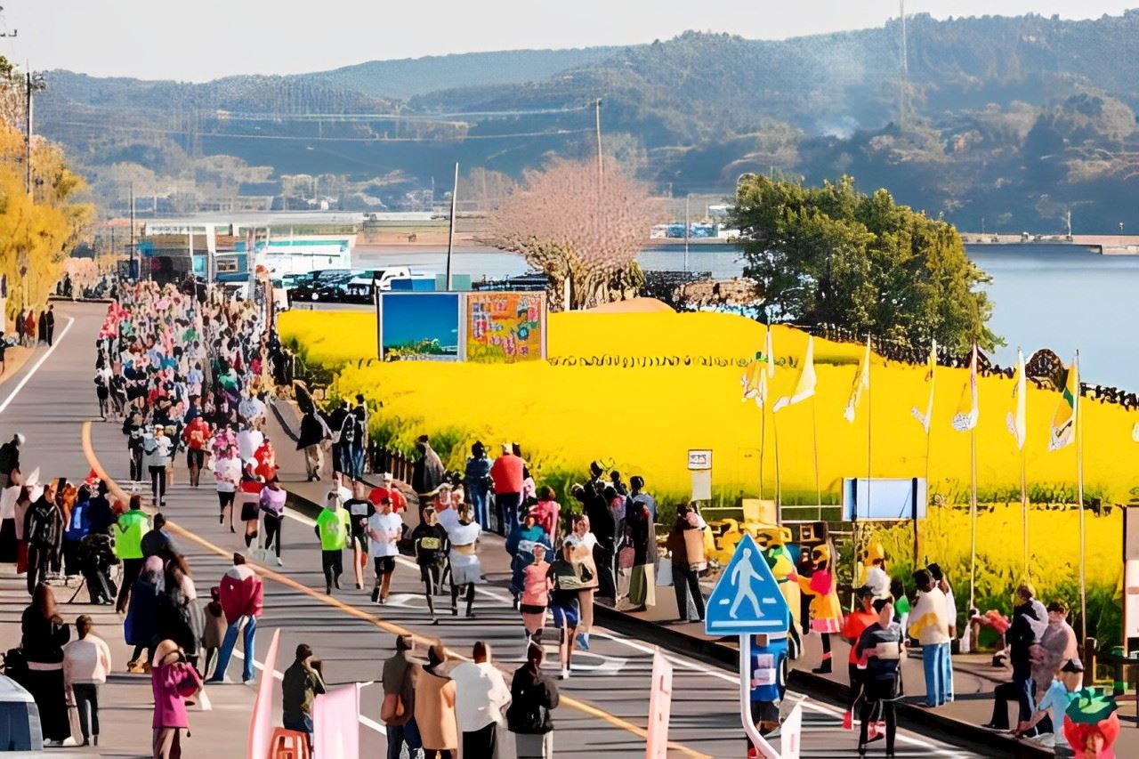 ibusuki city rape blossoms marathon