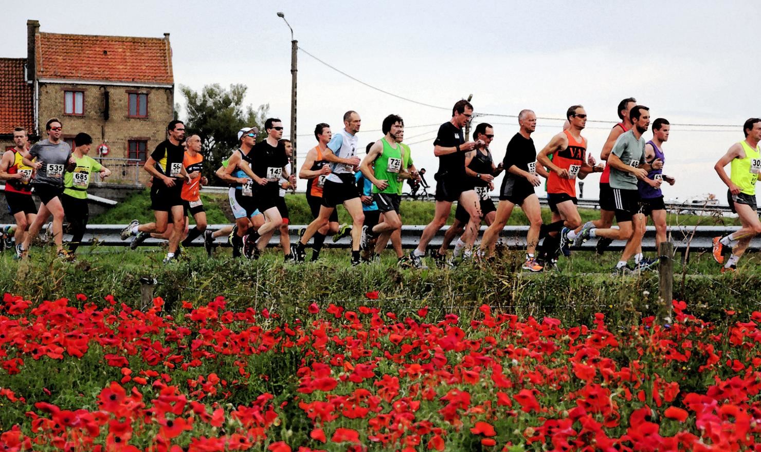 in flanders fields marathon