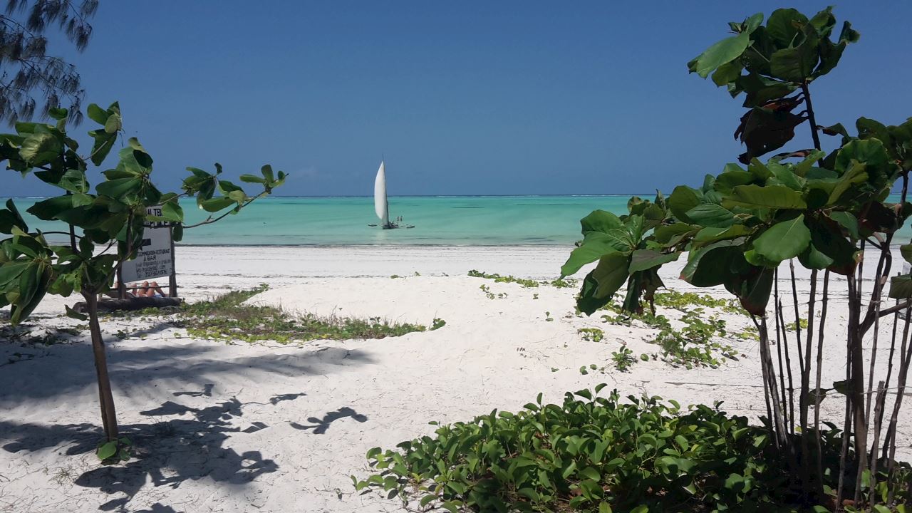 international marathon zanzibar bwejuu makunduchi