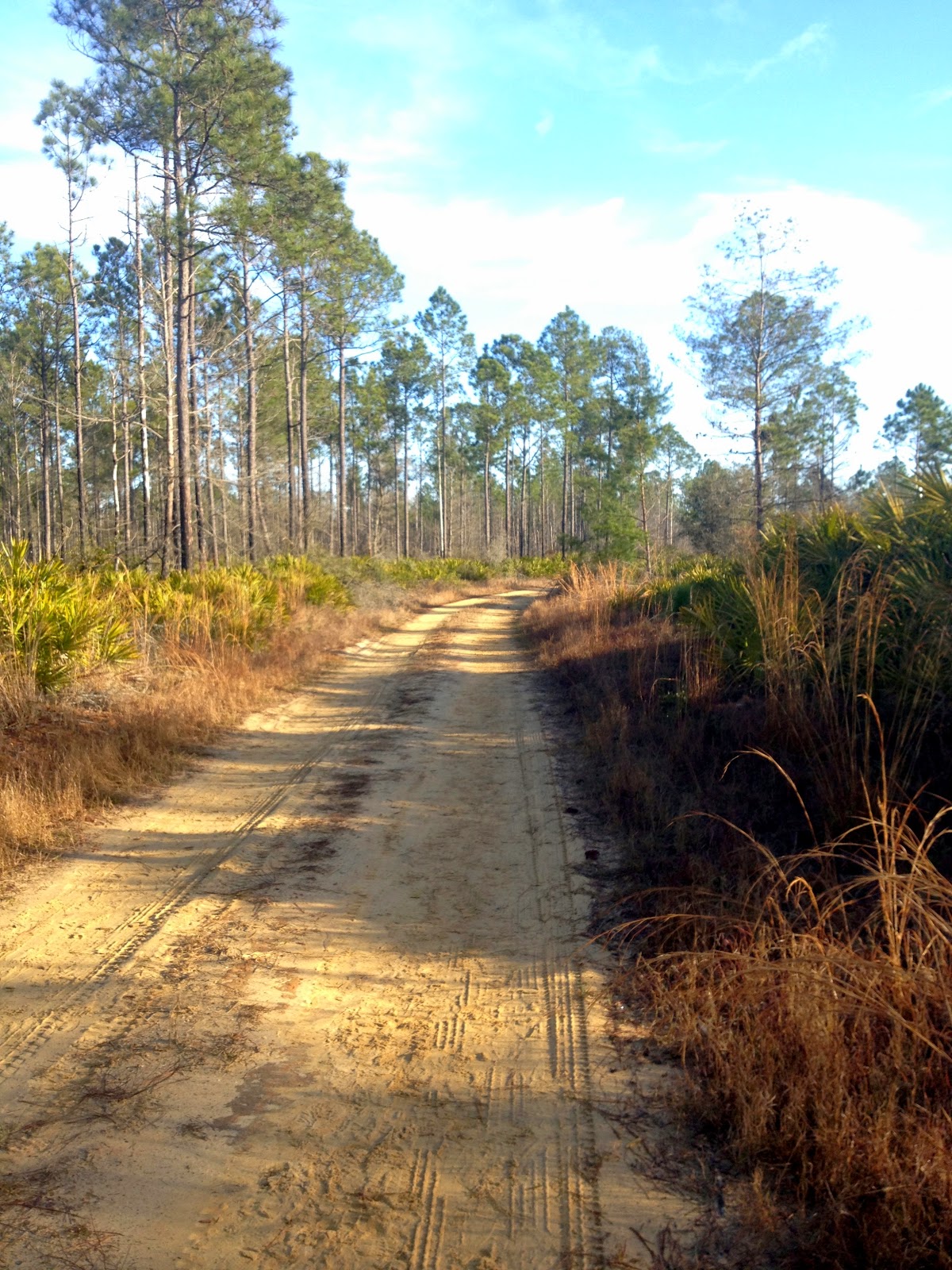 iron horse endurance runs