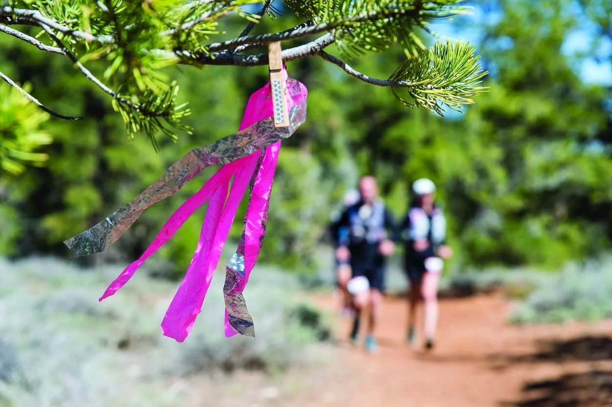 joshua tree half marathon
