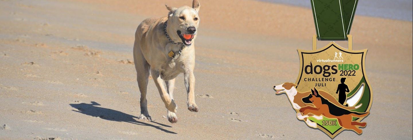 july dogs hero virtual challenge
