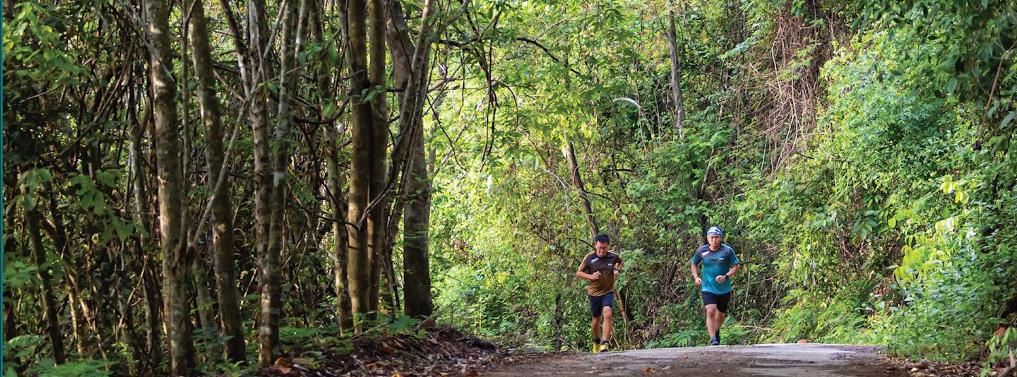 kaeng krachan trail run