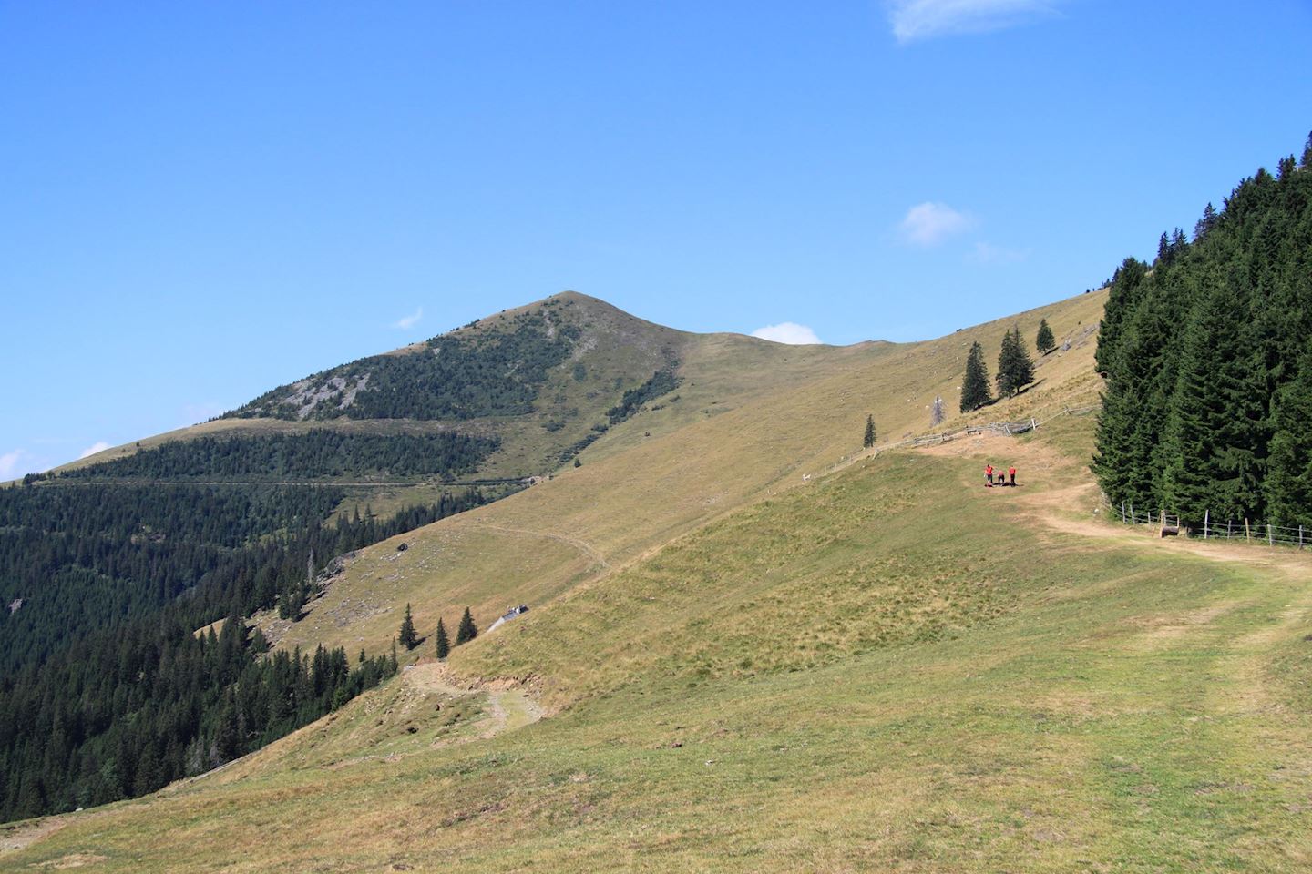 kainach bergmarathon