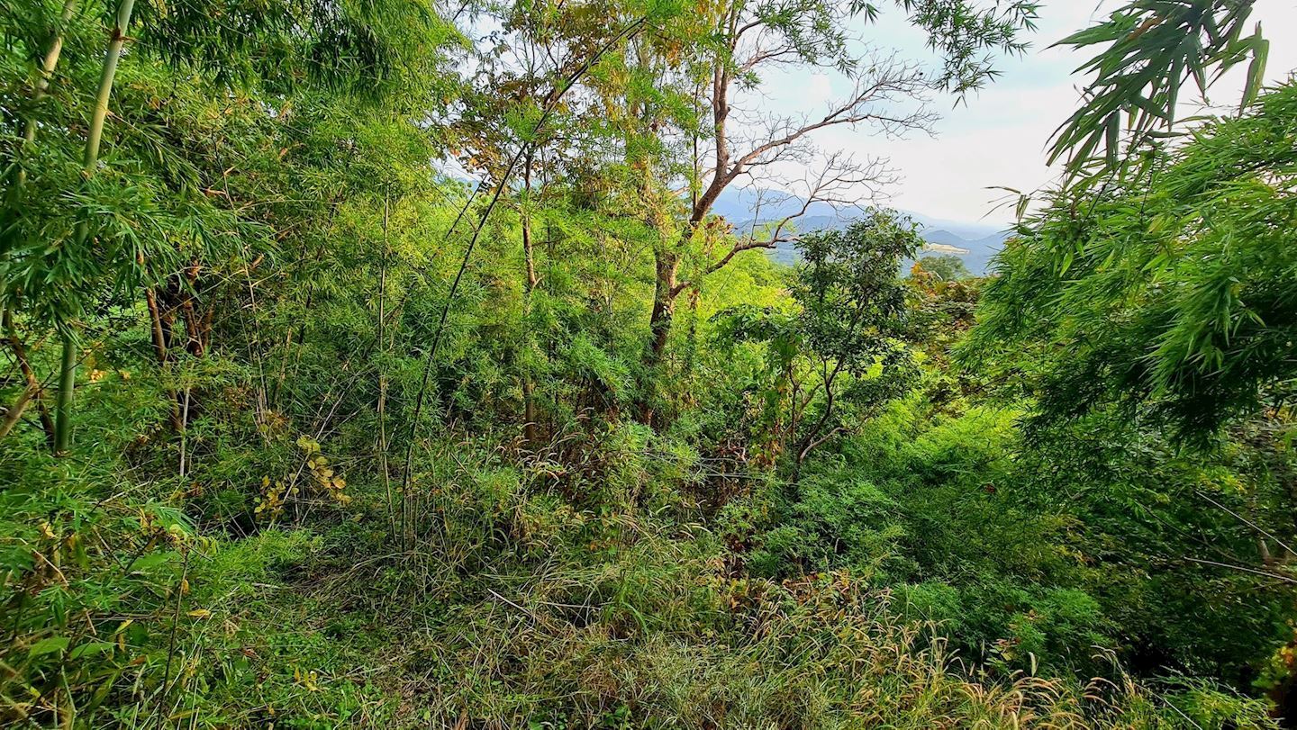 kariang kho ma