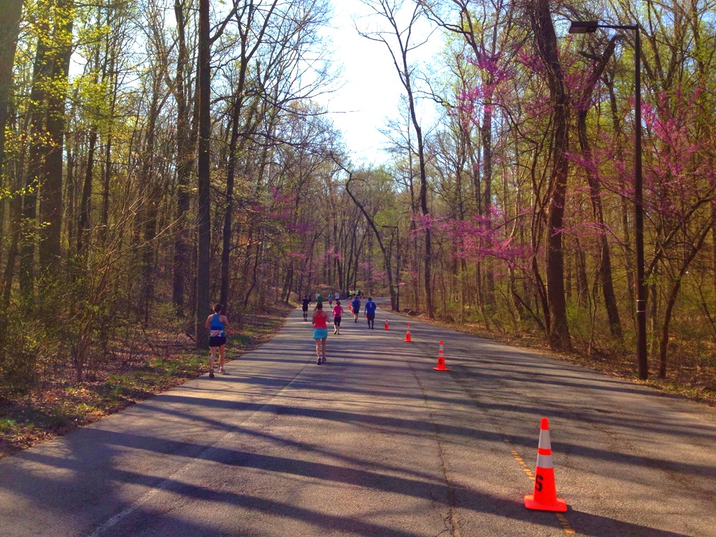 kentucky derby festival marathon half marathon