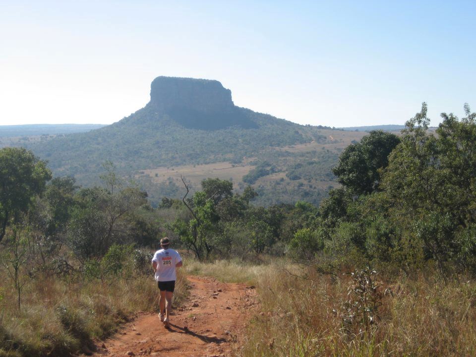 kenya wildlife marathon