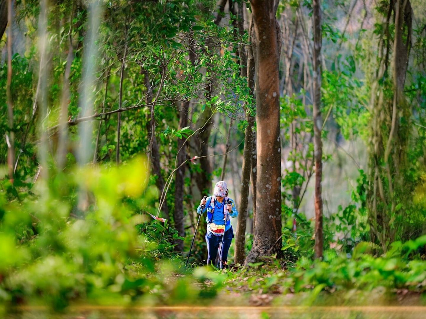 khao jook dragon trail