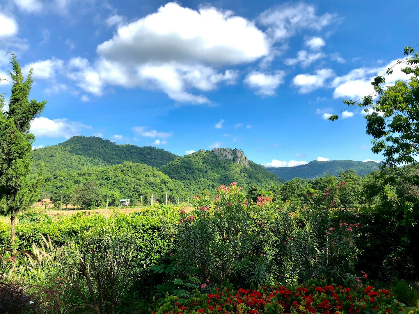 khao yai prachin ultra