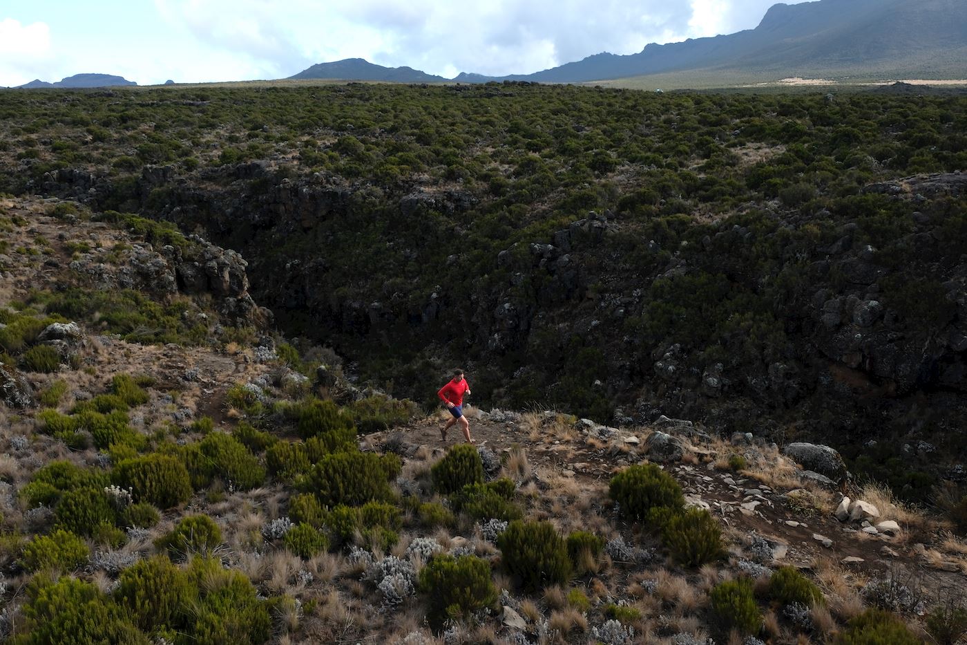 Kilimanjaro Trail Run