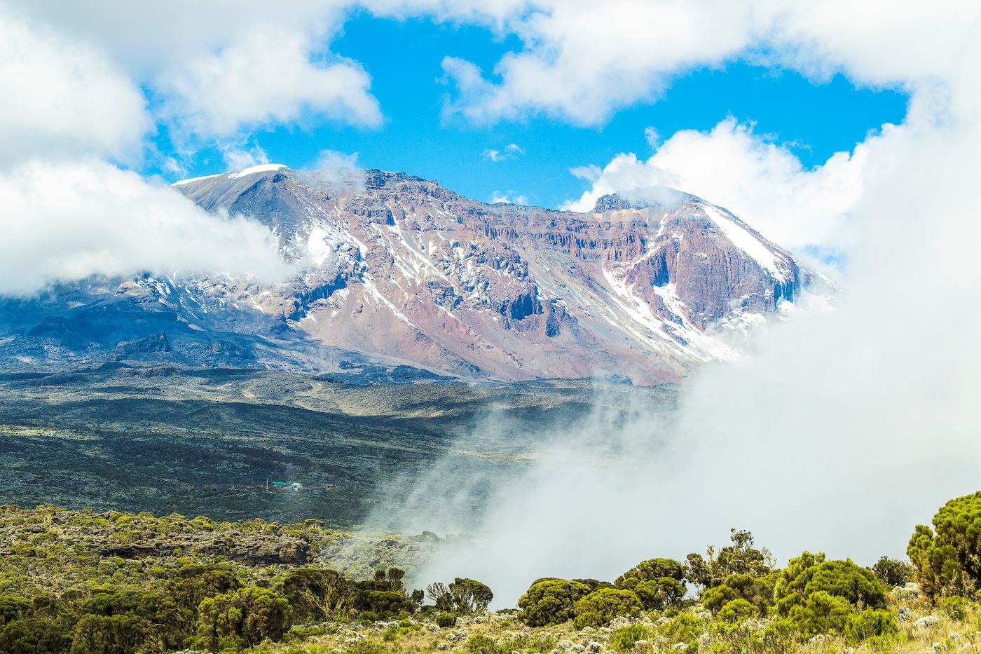 kilimanjaro trail run