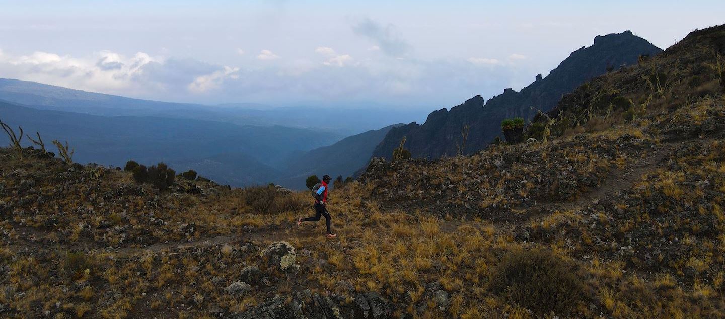 kilimanjaro trail run