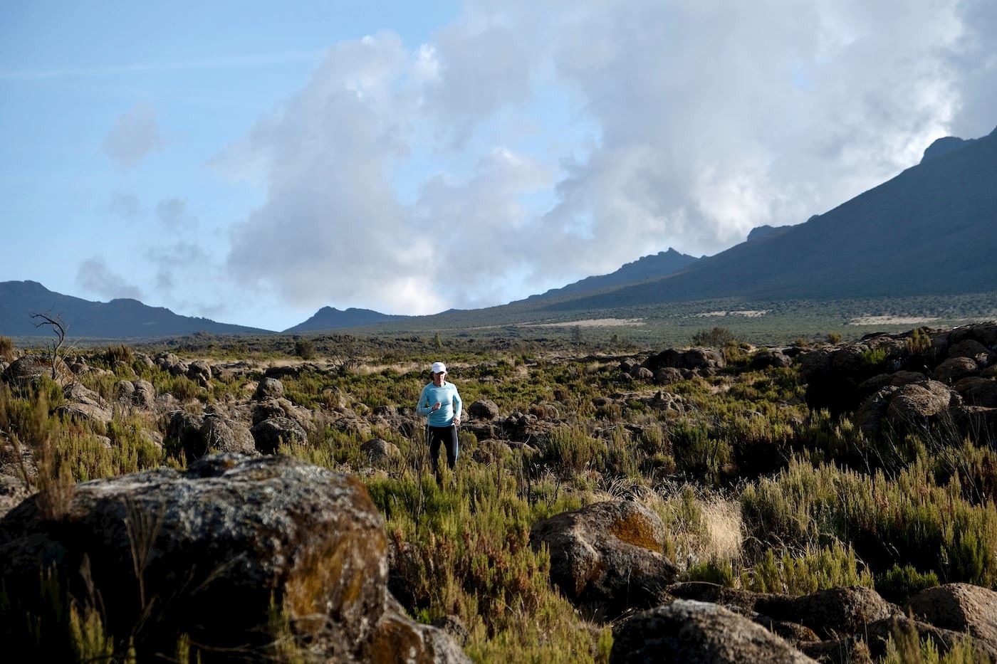 kilimanjaro trail run