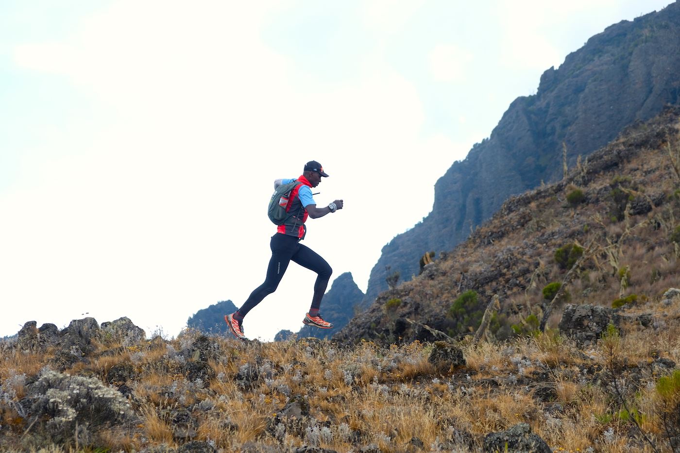 kilimanjaro trail run