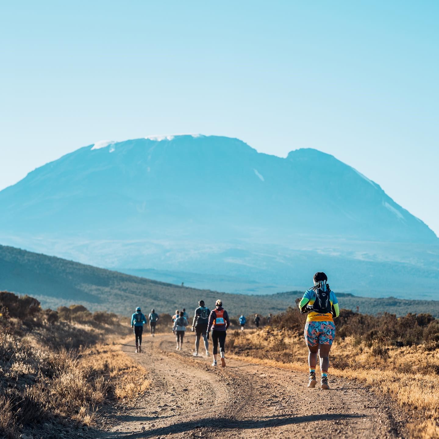 kilimanjaro trail run