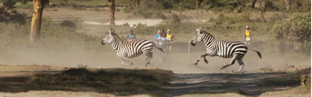 kimbia kenya