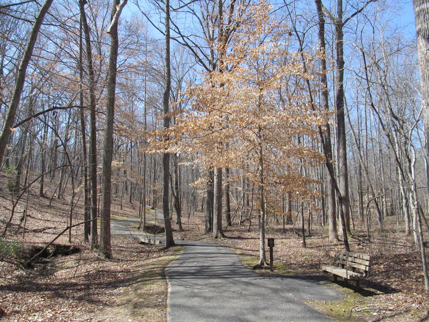 kings mountain marathon