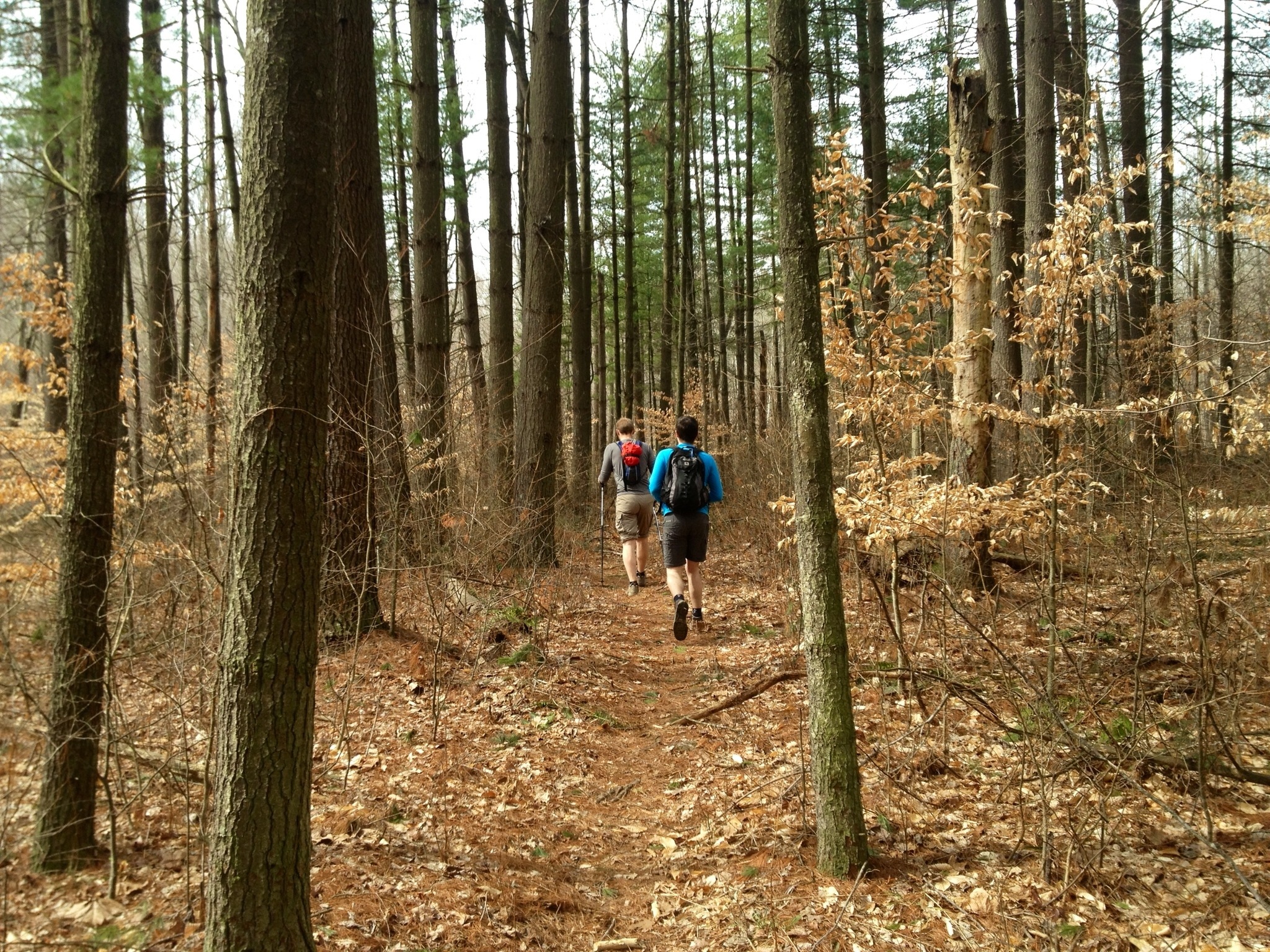 knobstone trail mini marathon