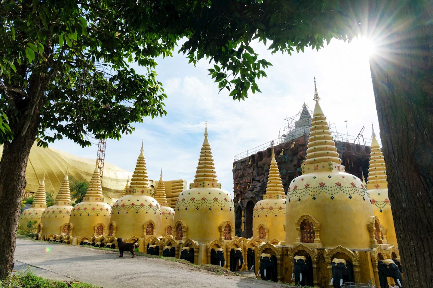 krok e dok mini half marathon