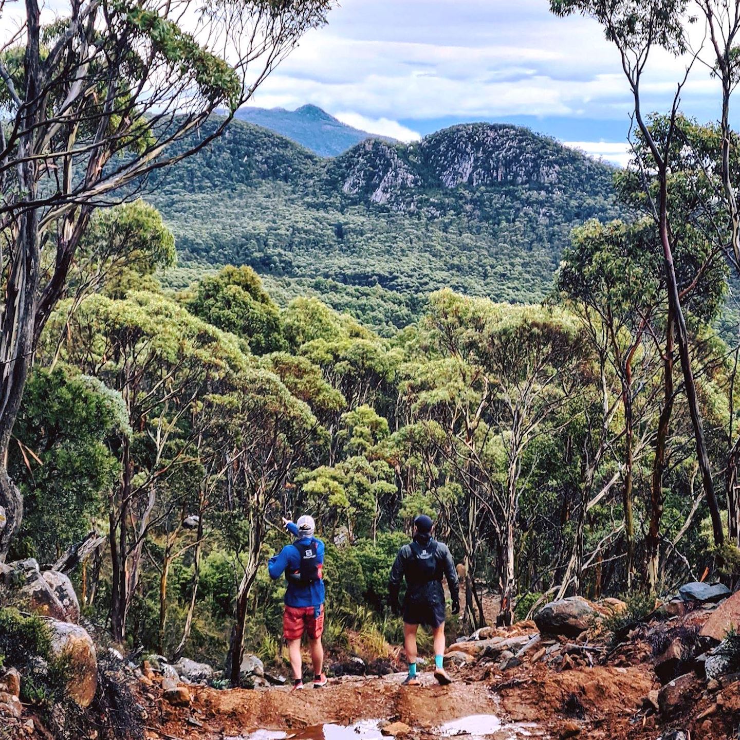 kunanyi mountain run